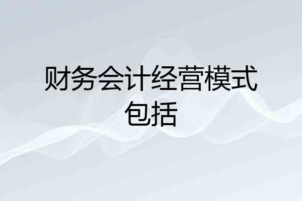 财务会计经营模式包括