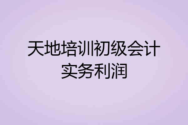 天地培训初级会计实务利润