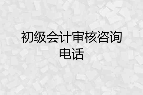 初级会计审核咨询电话