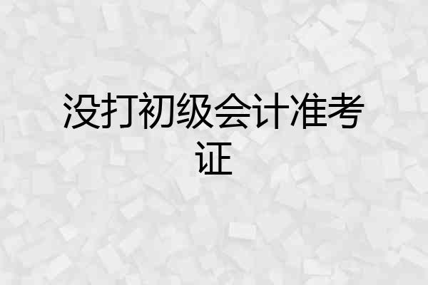 没打初级会计准考证