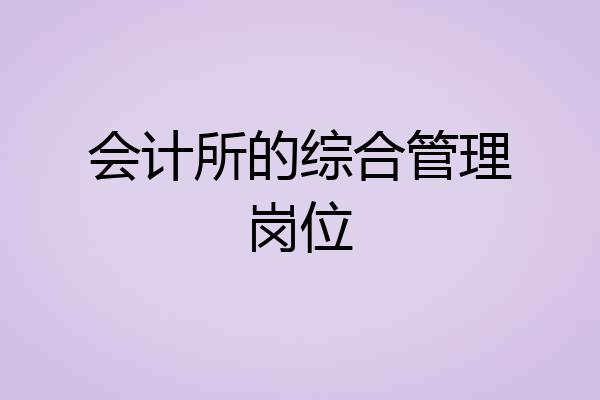 会计所的综合管理岗位