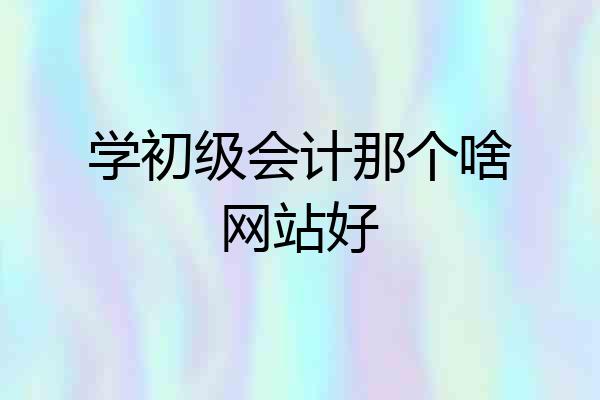 学初级会计那个啥网站好