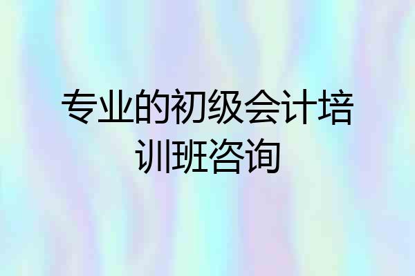 专业的初级会计培训班咨询
