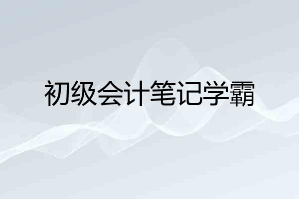 初级会计笔记学霸