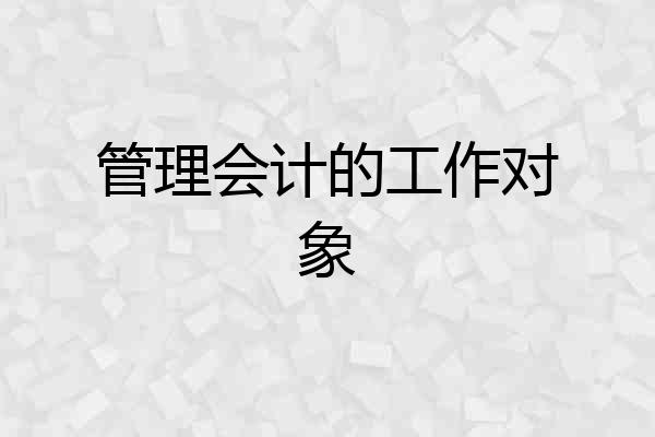 管理会计的工作对象