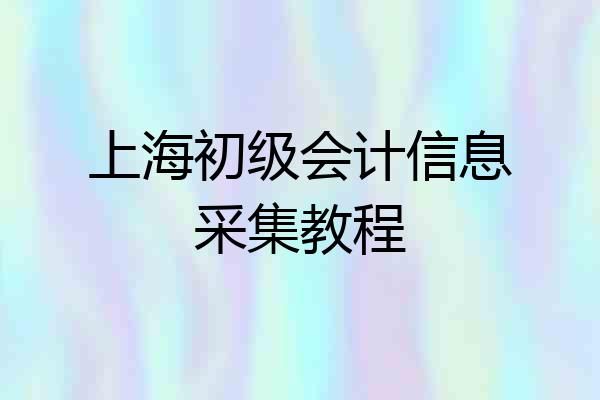 上海初级会计信息采集教程