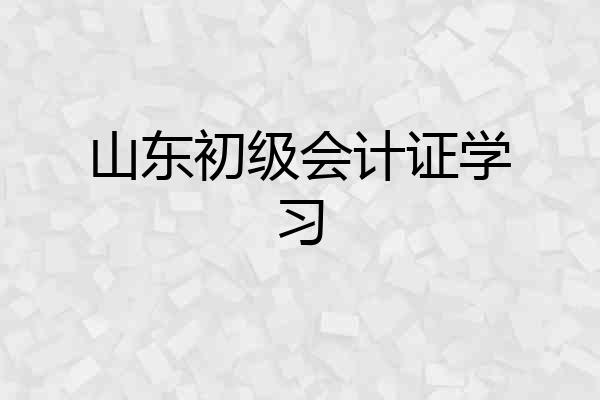 山东初级会计证学习