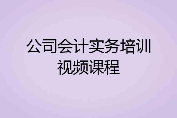 公司会计实务培训视频课程