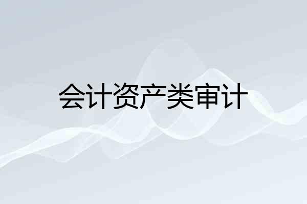 会计资产类审计