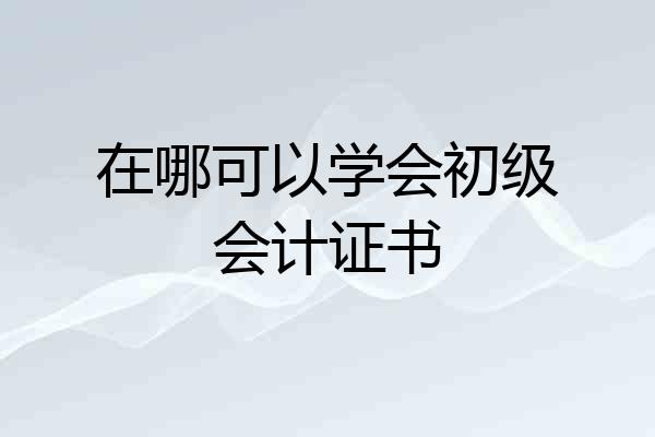 在哪可以学会初级会计证书