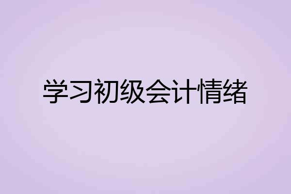 学习初级会计情绪