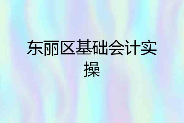 东丽区基础会计实操