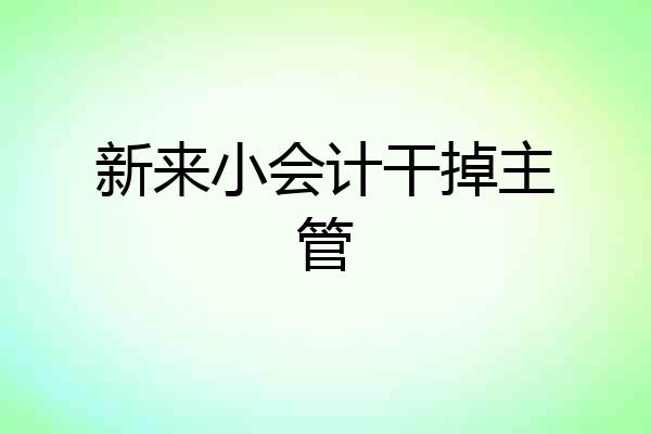 新来小会计干掉主管
