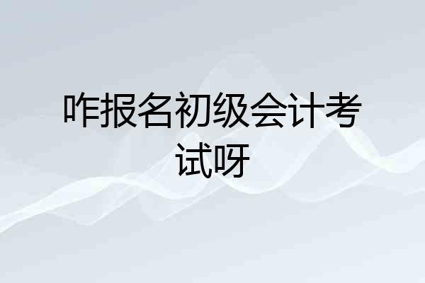 咋报名初级会计考试呀