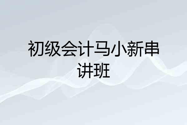 初级会计马小新串讲班