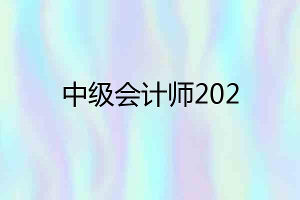 中级会计师202