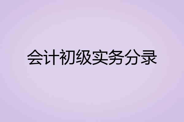 会计初级实务分录