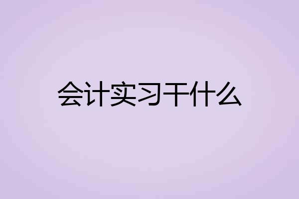 会计实习干什么