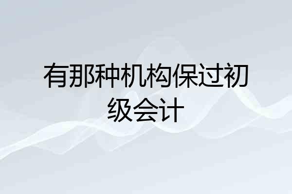 有那种机构保过初级会计