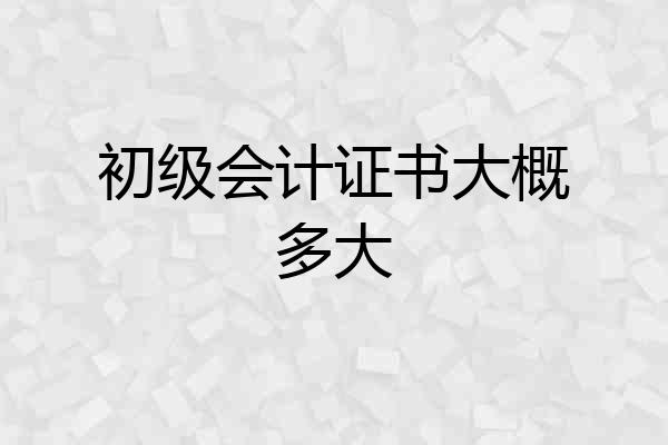 初级会计证书大概多大