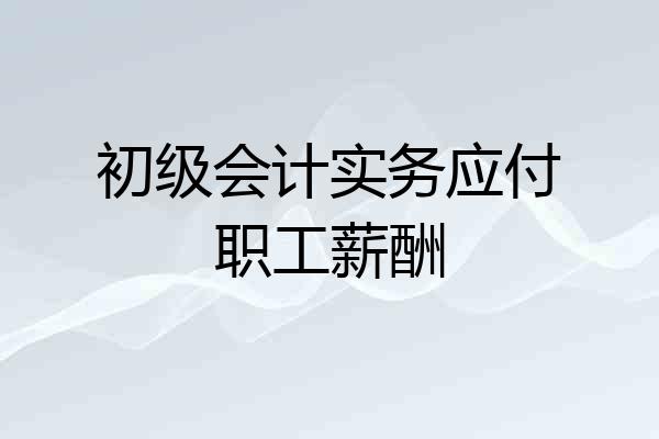 初级会计实务应付职工薪酬