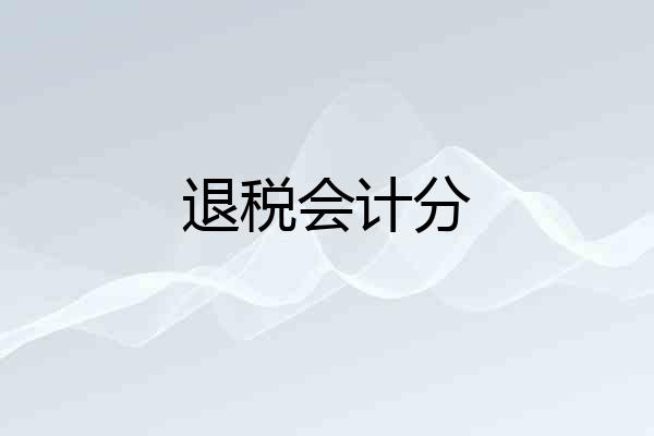 退税会计分