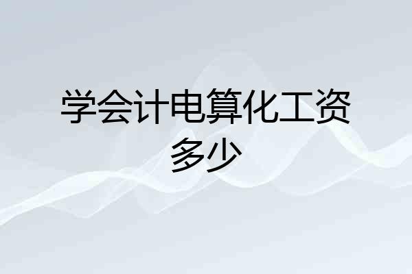 学会计电算化工资多少