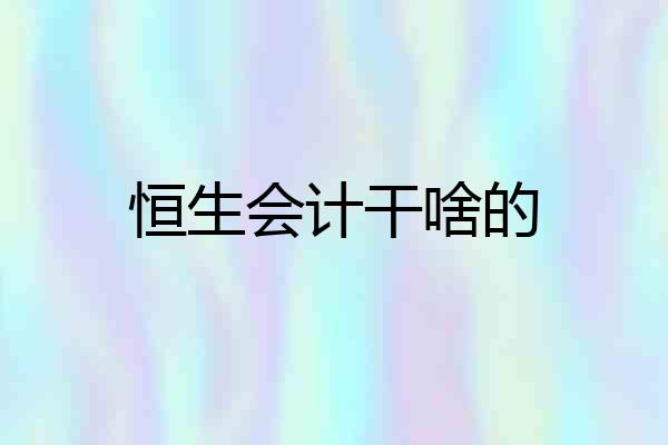 恒生会计干啥的