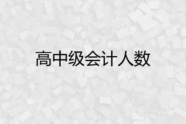 高中级会计人数