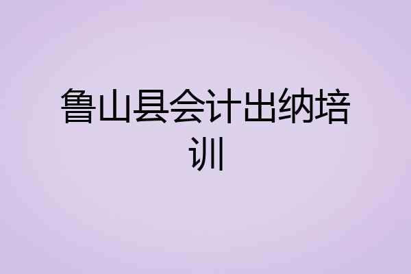 鲁山县会计出纳培训