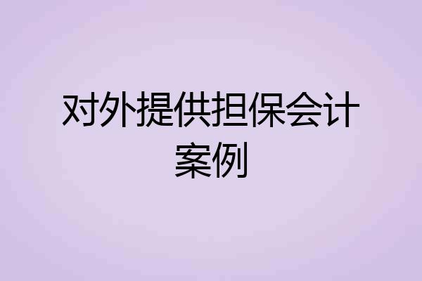 对外提供担保会计案例