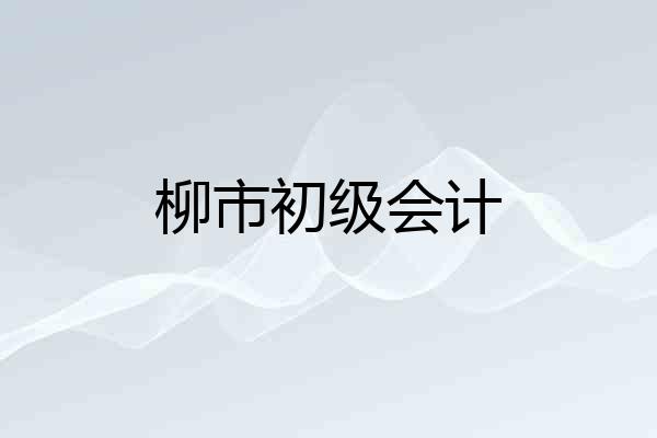 柳市初级会计