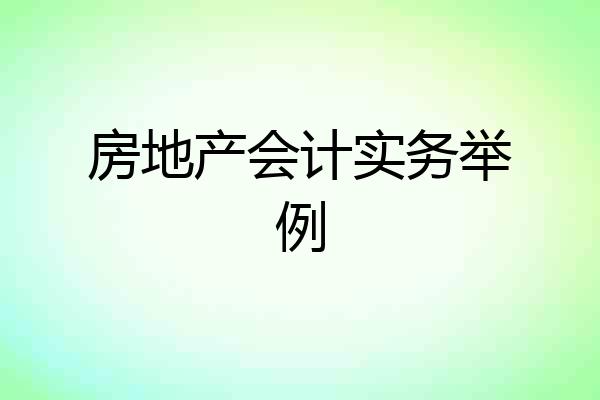 房地产会计实务举例