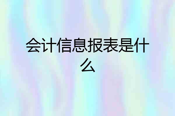 会计信息报表是什么