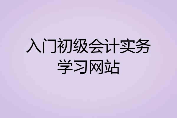 入门初级会计实务学习网站