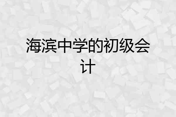 海滨中学的初级会计