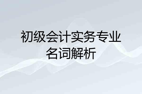 初级会计实务专业名词解析