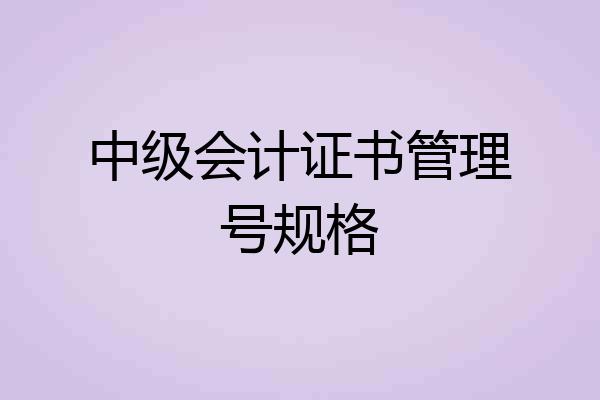 中级会计证书管理号规格