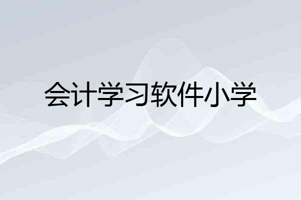 会计学习软件小学