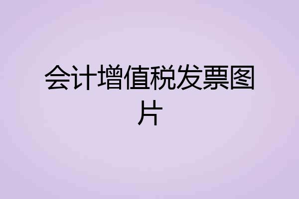 会计增值税发票图片
