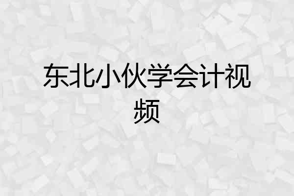 东北小伙学会计视频