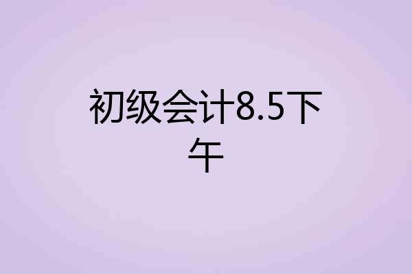初级会计8.5下午
