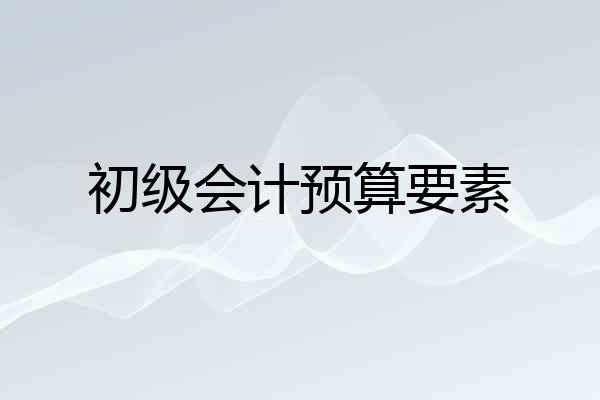 初级会计预算要素