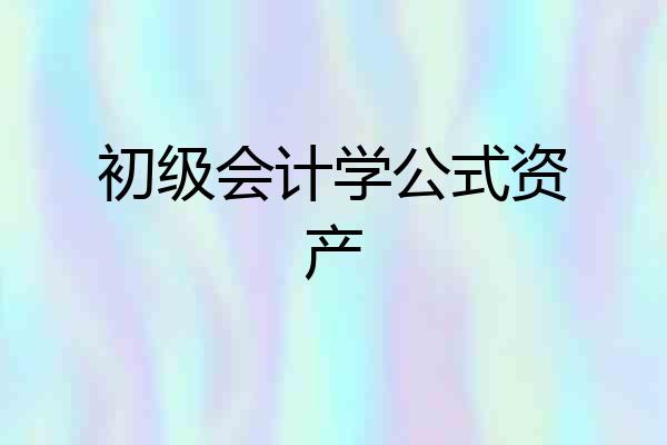 初级会计学公式资产