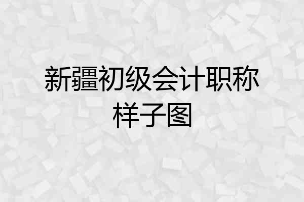 新疆初级会计职称样子图