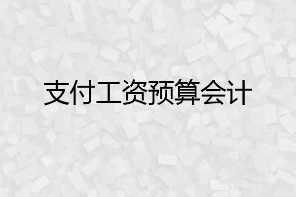 支付工资预算会计