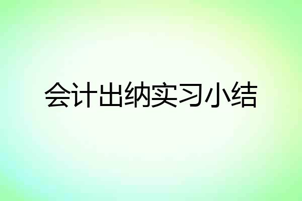 会计出纳实习小结