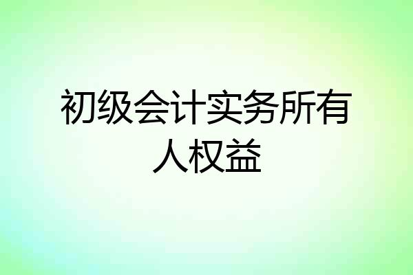 初级会计实务所有人权益