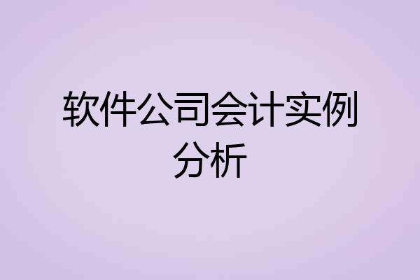软件公司会计实例分析