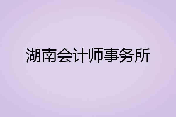 湖南会计师事务所